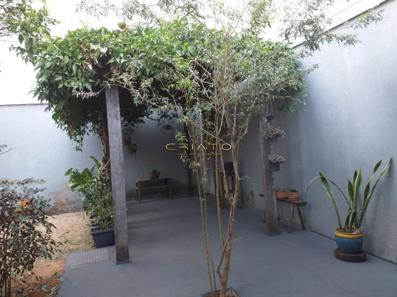 img36144852