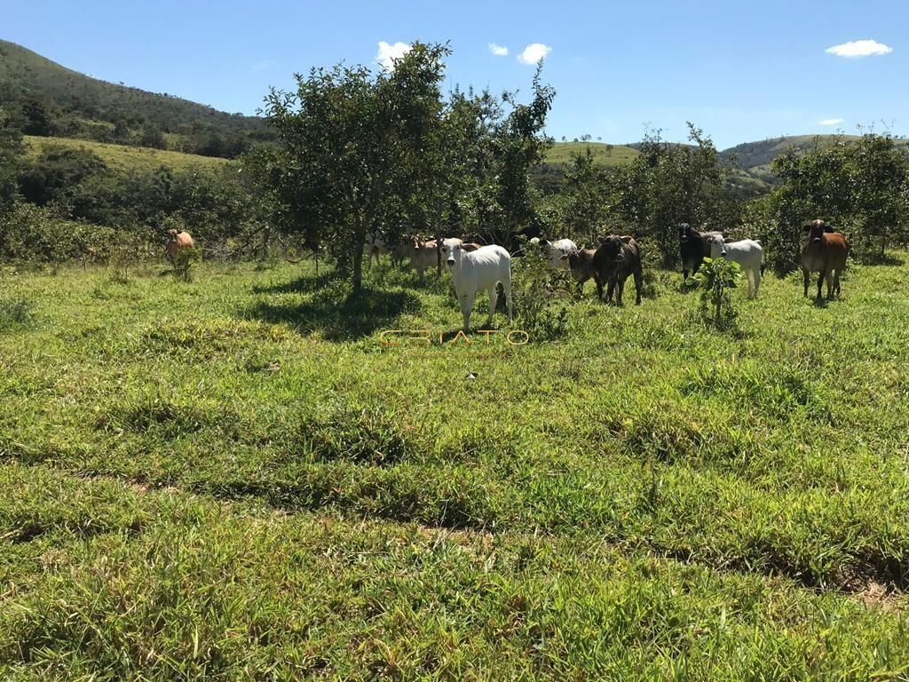 Fazenda à venda, 1936000m² - Foto 7