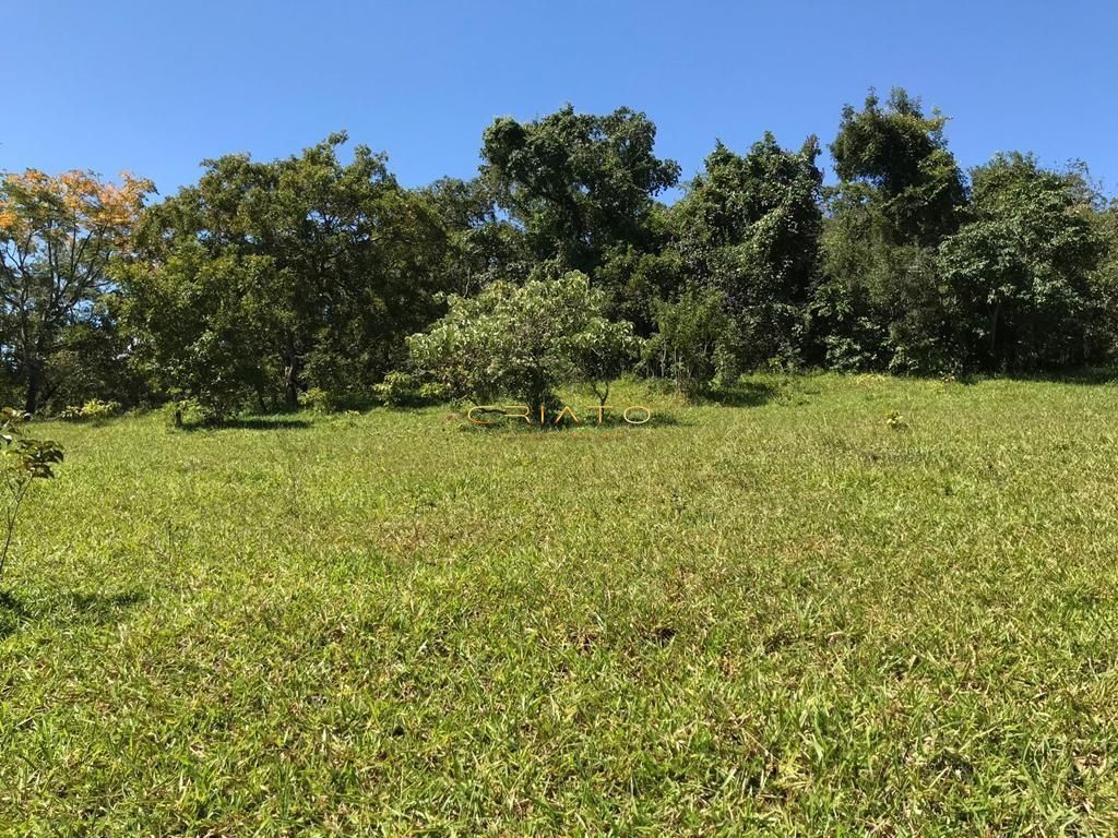 Fazenda-Sítio-Chácara, 194 hectares - Foto 3