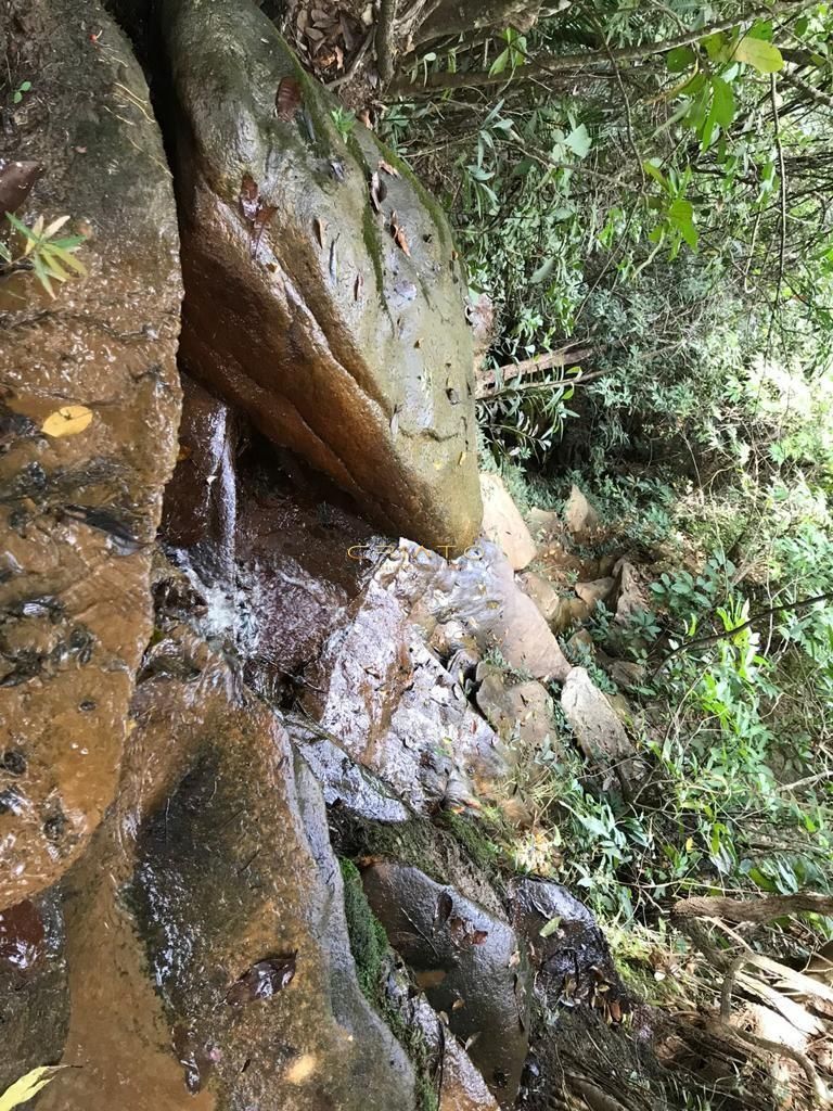 Fazenda/Sítios/Chácaras de no bairro Zona Rural, em Cocalzinho de Goiás | Eu Corretor