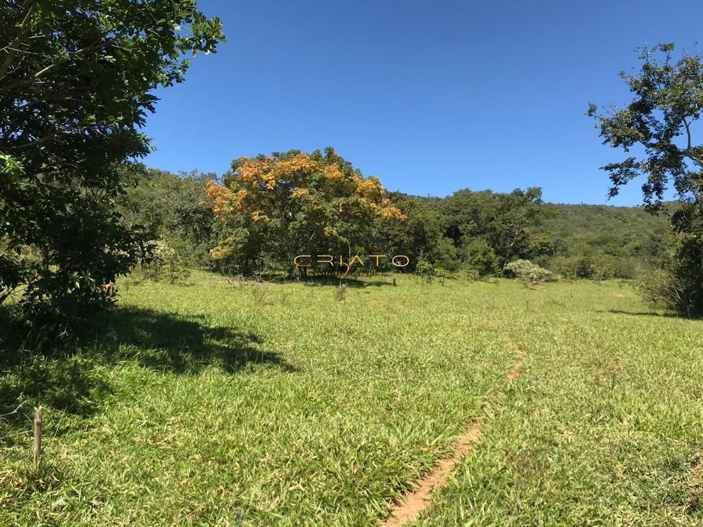 Fazenda-Sítio-Chácara, 194 hectares - Foto 1