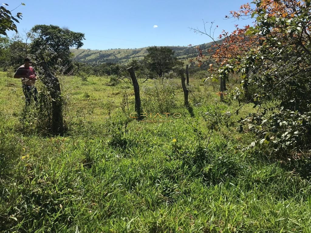 Fazenda/Sítios/Chácaras de no bairro Zona Rural, em Cocalzinho de Goiás | Eu Corretor