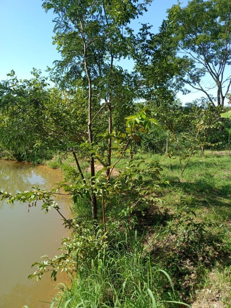 Fazenda/stio/chcara/haras  venda  no Centro - Pirenpolis, GO. Imveis