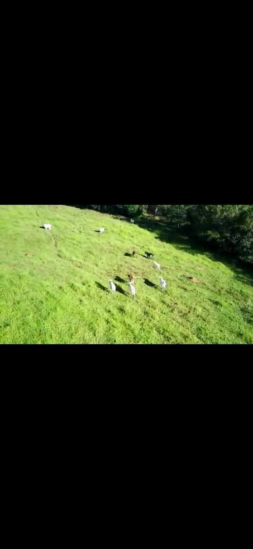 Lote/Terreno de 242000m² no bairro Zona Rural, em Pirenópolis | Eu Corretor