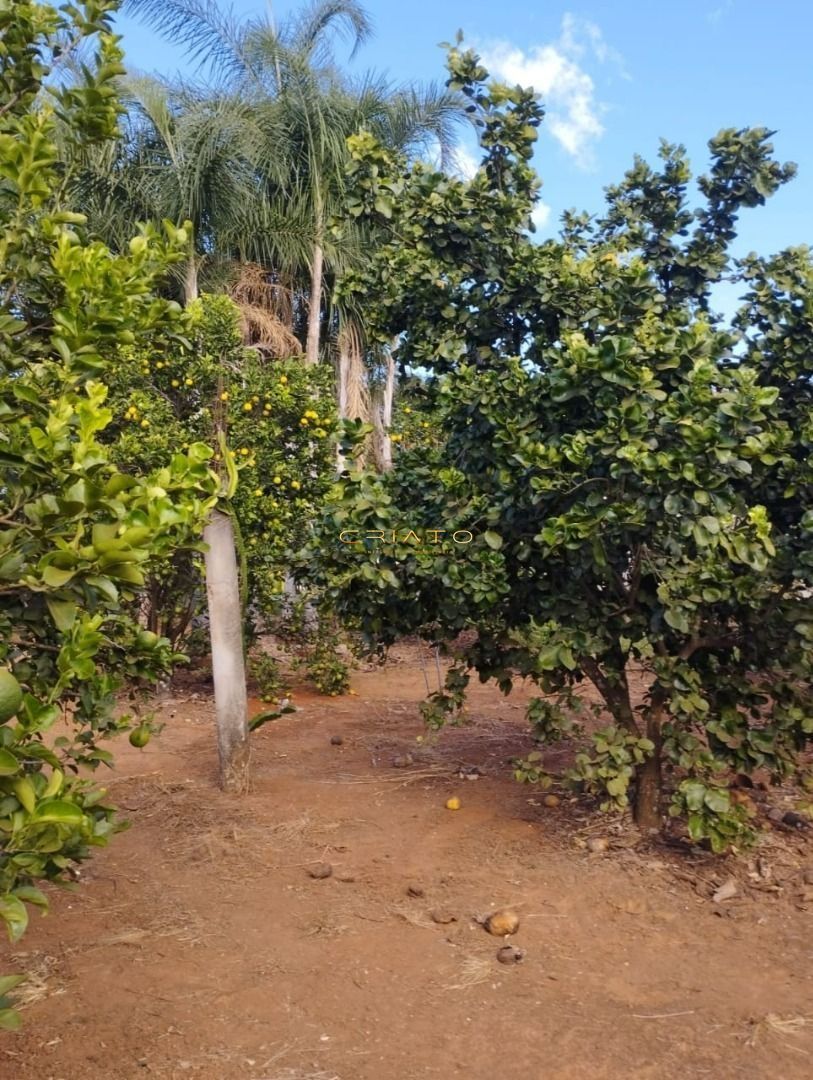 img36143583