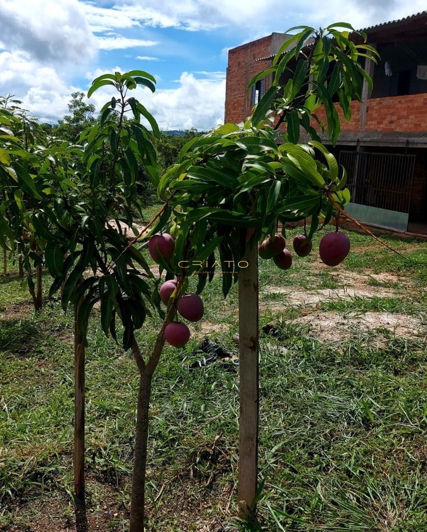 Chácara de 3 quartos, 240m² no bairro Zona Rural, em Abadiânia | Eu Corretor