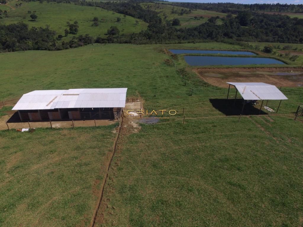 Fazenda-Sítio-Chácara, 87 hectares - Foto 2