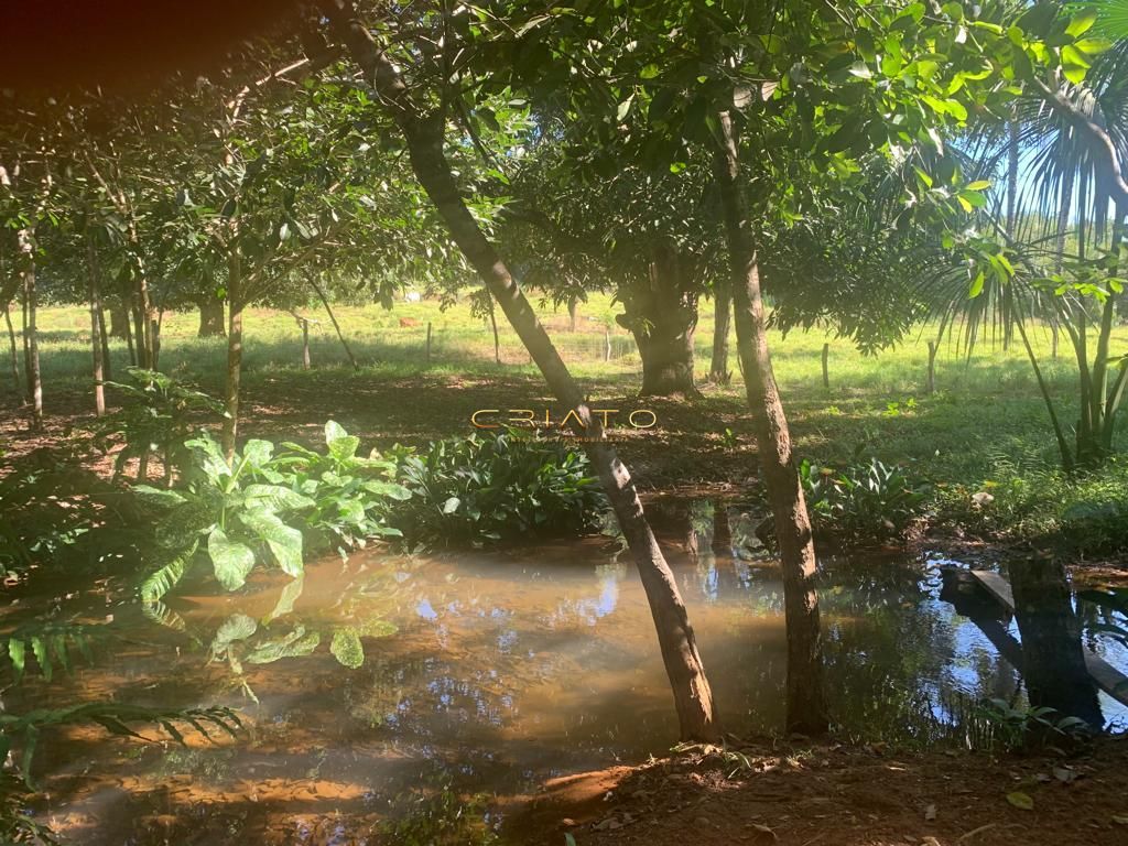 Fazenda à venda com 2 quartos, 6200000000m² - Foto 29