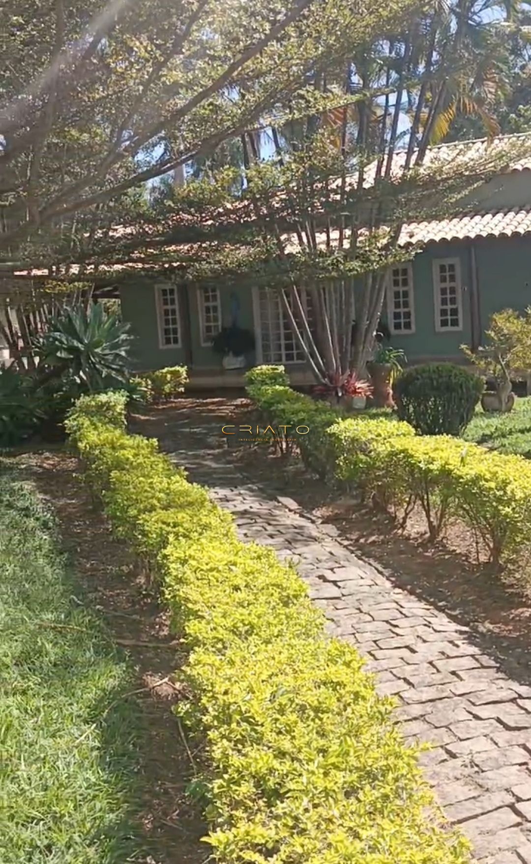 Fazenda à venda com 5 quartos, 17900000000m² - Foto 9