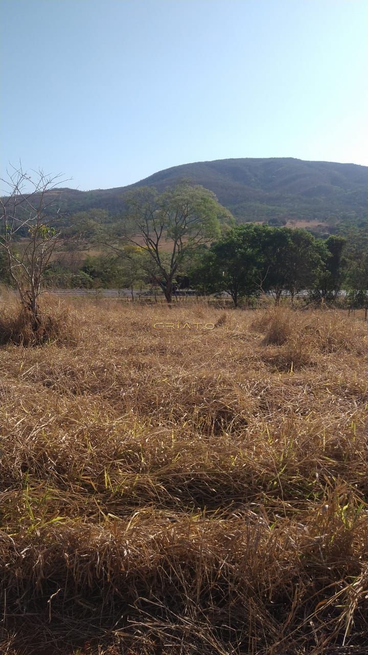 Loteamento e Condomínio à venda, 1000m² - Foto 6