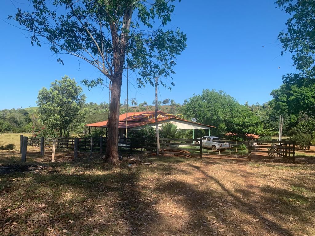 Fazenda à venda com 2 quartos, 6200000000m² - Foto 3