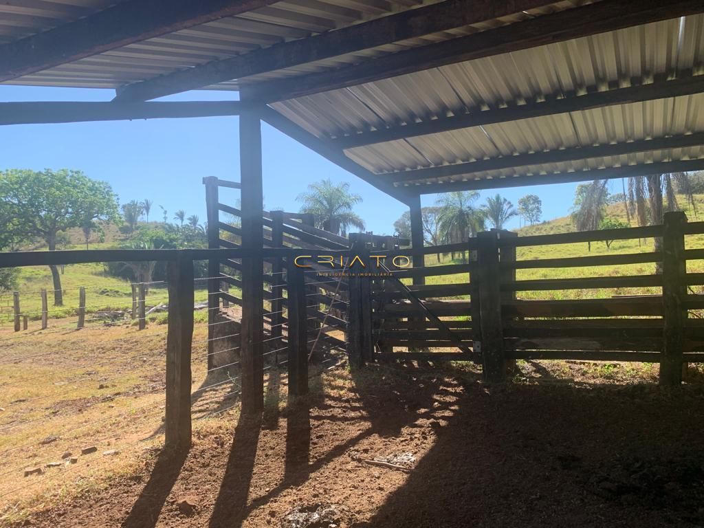 Fazenda à venda com 2 quartos, 6200000000m² - Foto 8