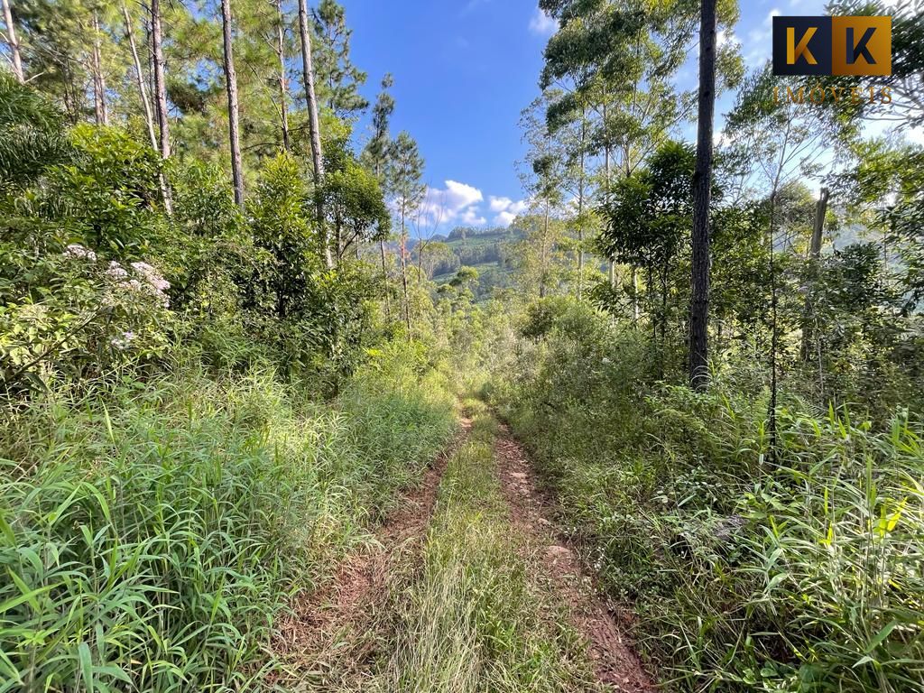 Loteamento e Condomínio à venda, 1600000000m² - Foto 11