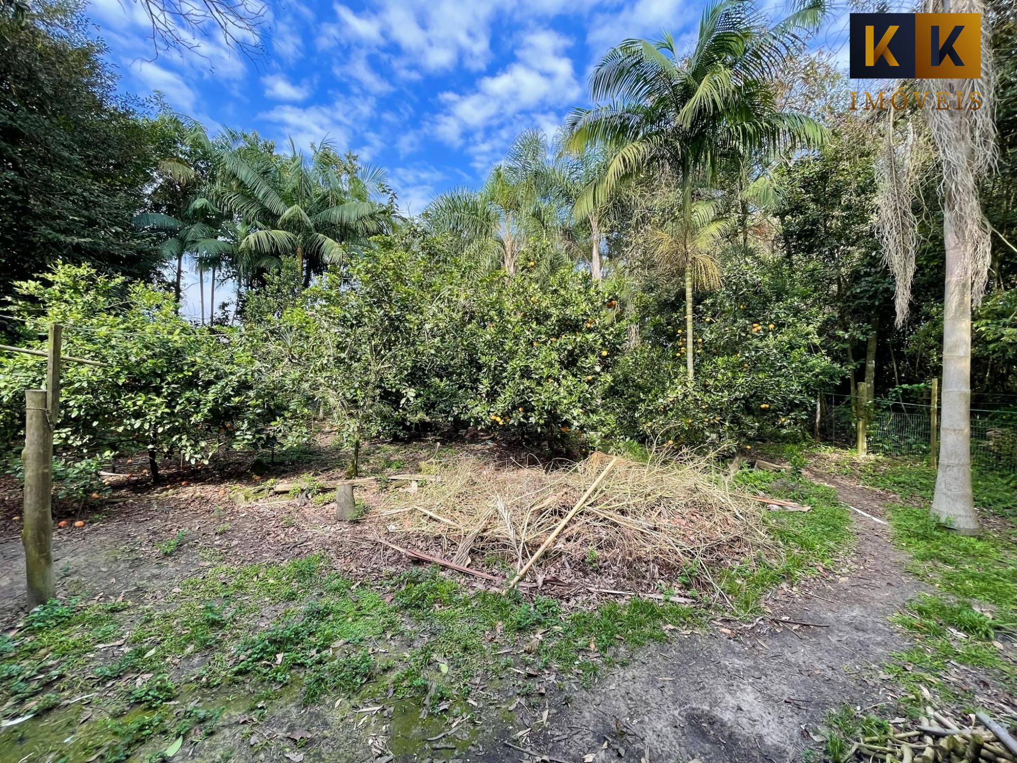 Sítio, 4 quartos, 5000 hectares - Foto 24