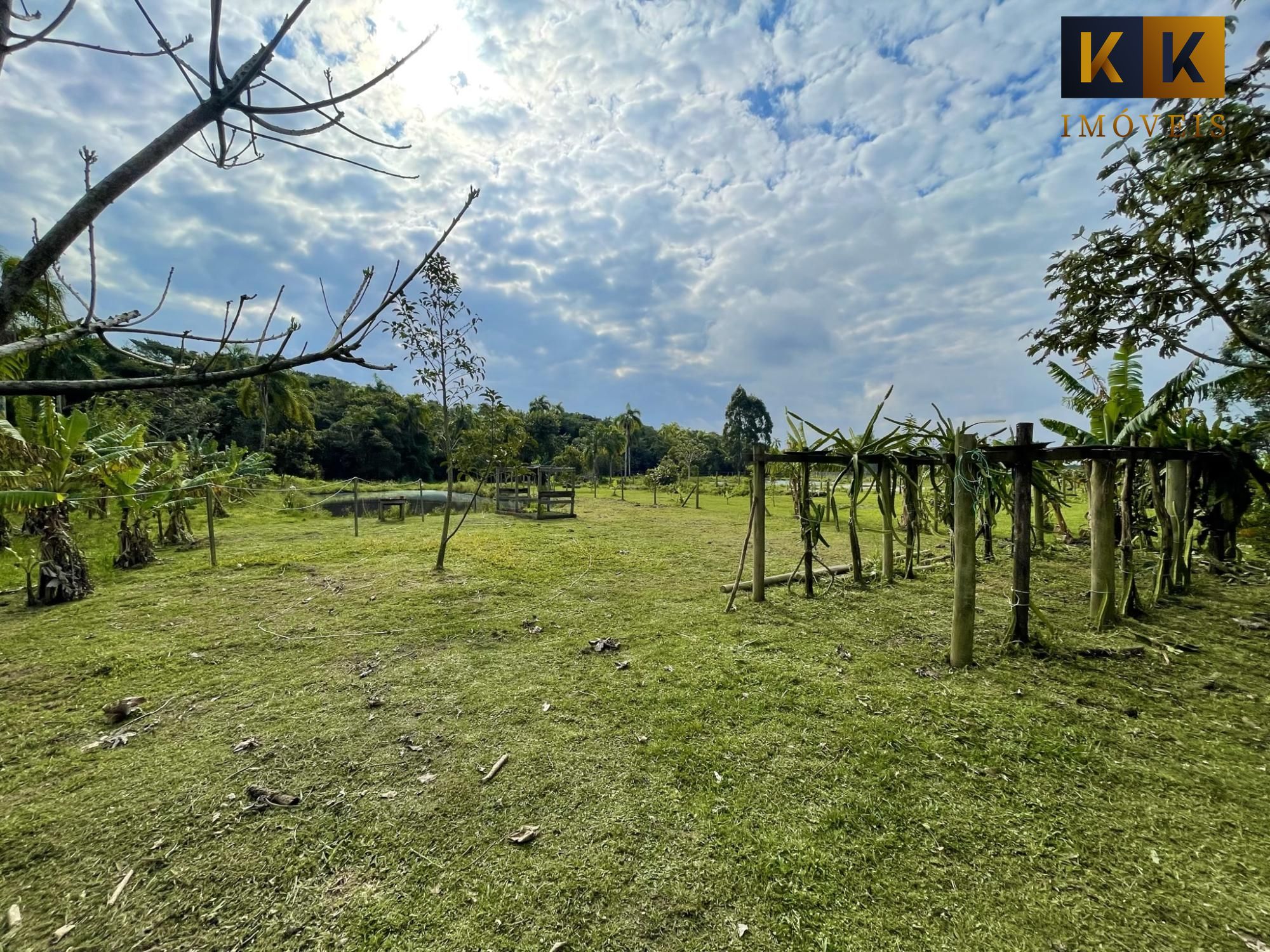 Sítio, 4 quartos, 5000 hectares - Foto 25