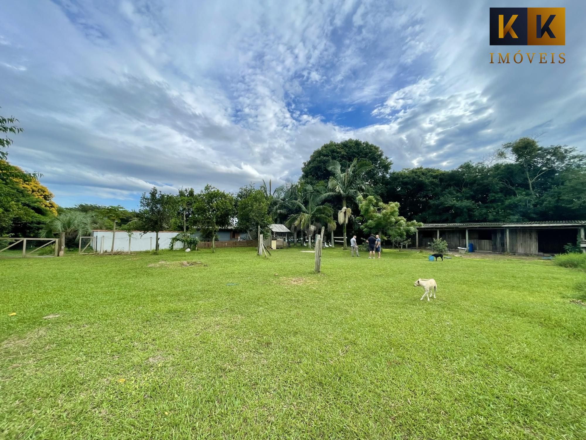 Sítio à venda com 3 quartos, 170m² - Foto 12