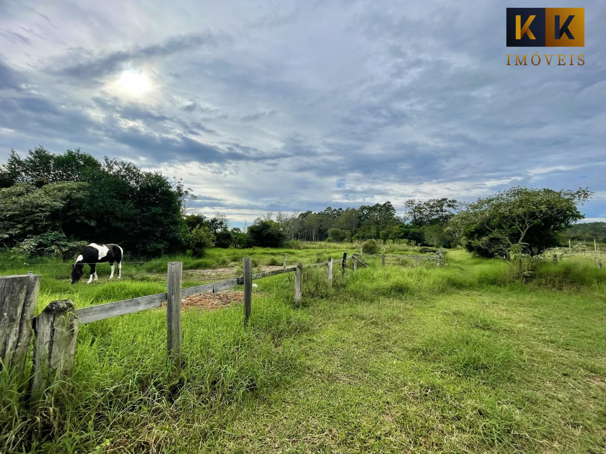 Fazenda à venda com 3 quartos, 170m² - Foto 11