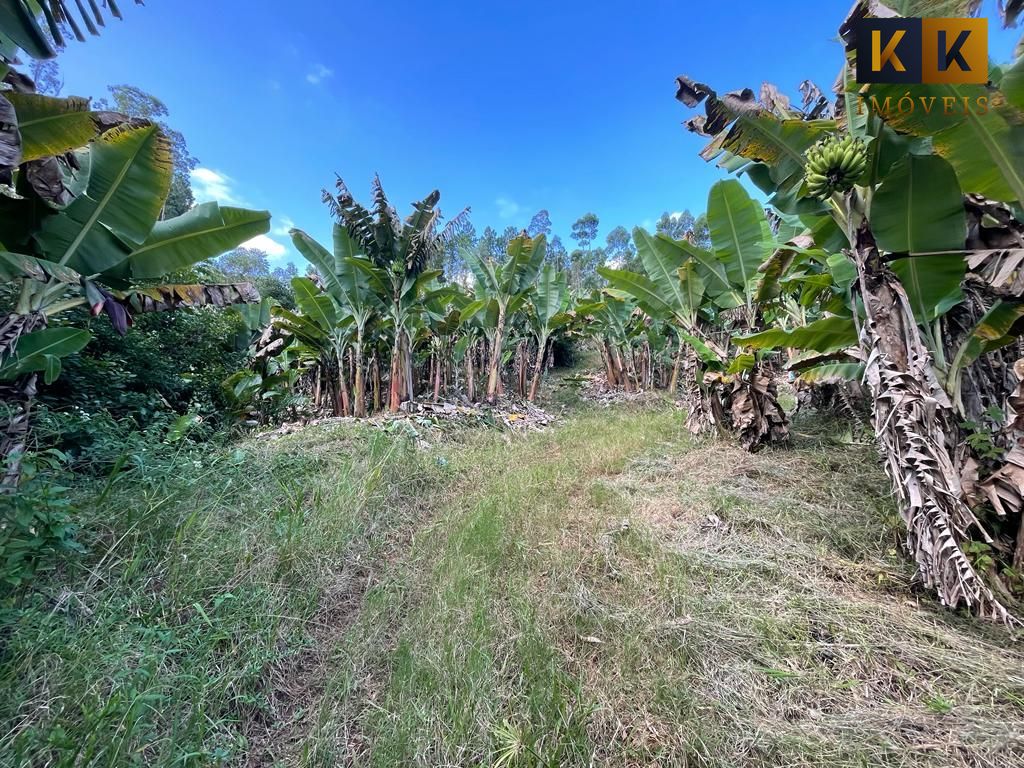 Loteamento e Condomínio, 16 hectares - Foto 4