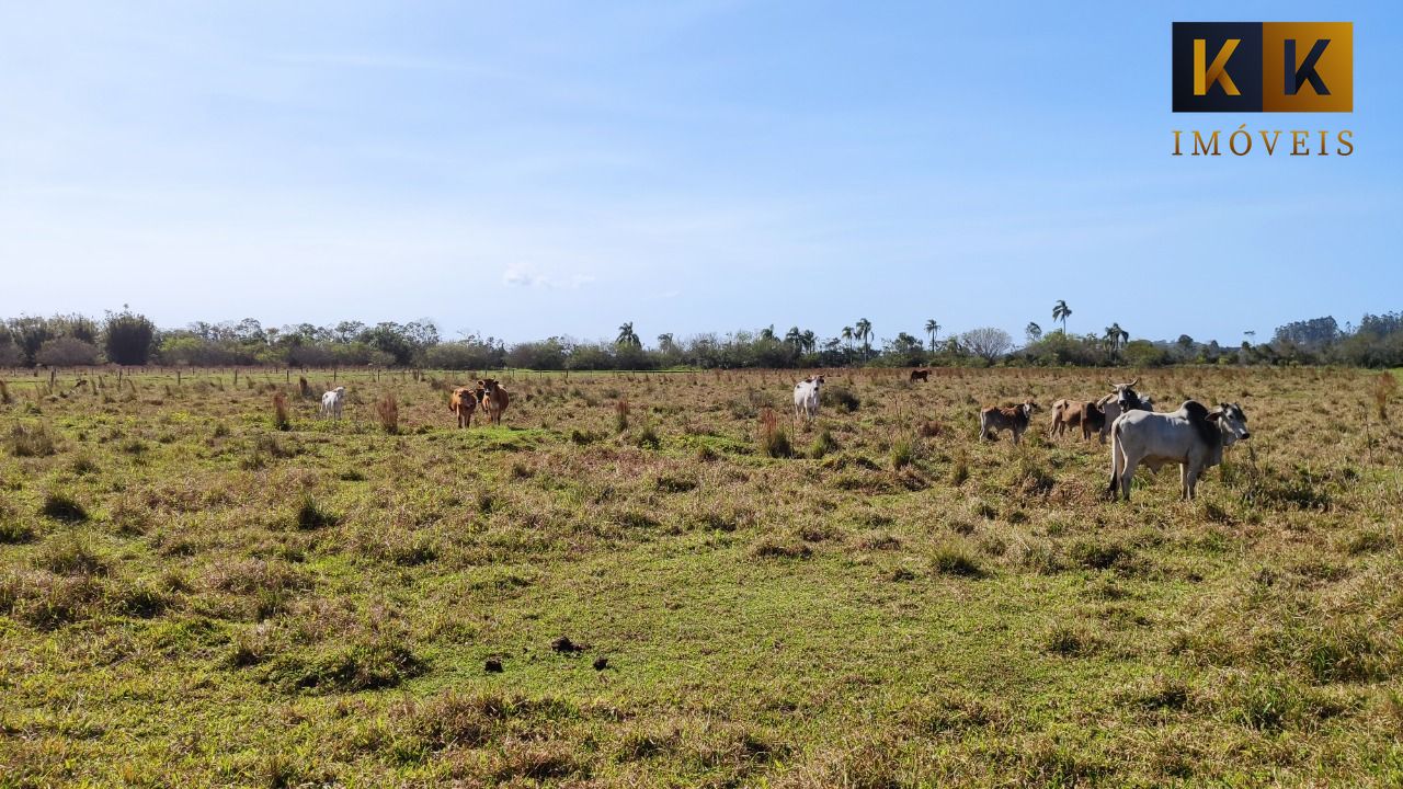 Fazenda à venda, 30000m² - Foto 12