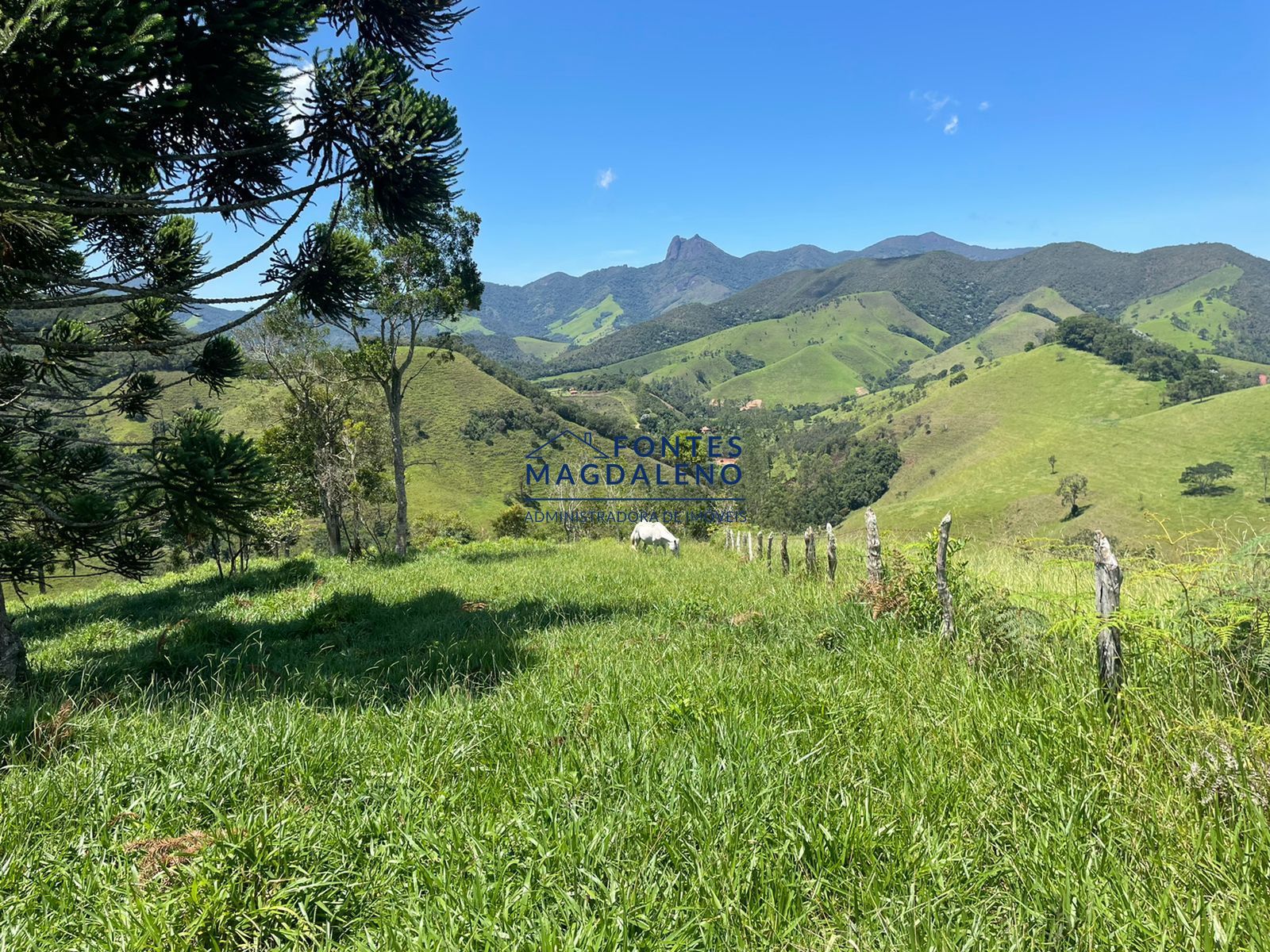 Terreno à venda, 165000m² - Foto 11