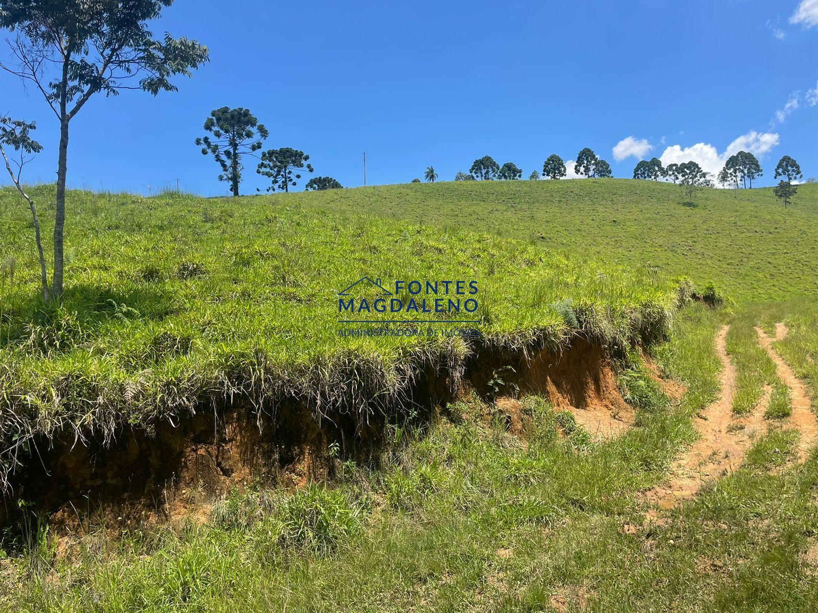 Terreno à venda, 165000m² - Foto 12