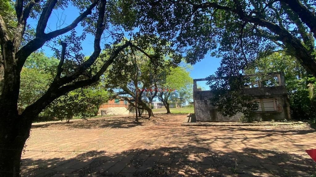 Terreno, 2 hectares - Foto 6