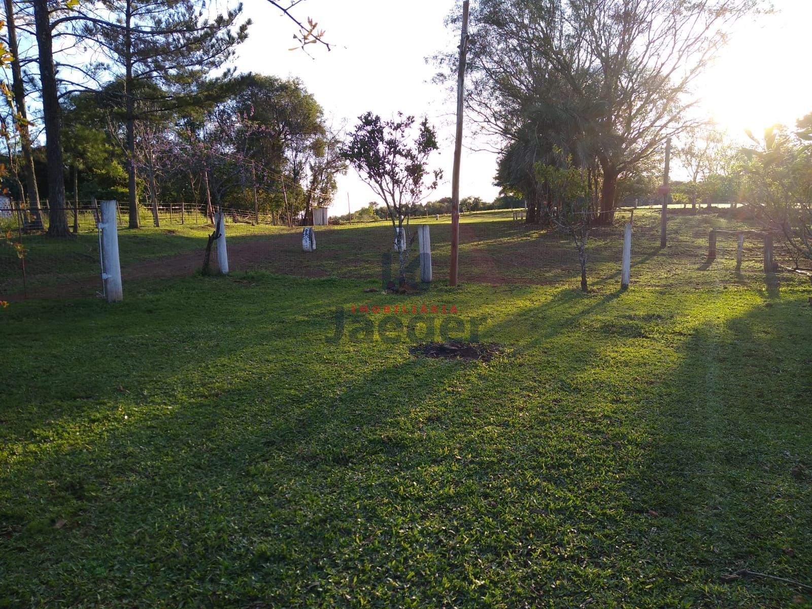 Fazenda à venda com 2 quartos, 150000m² - Foto 4