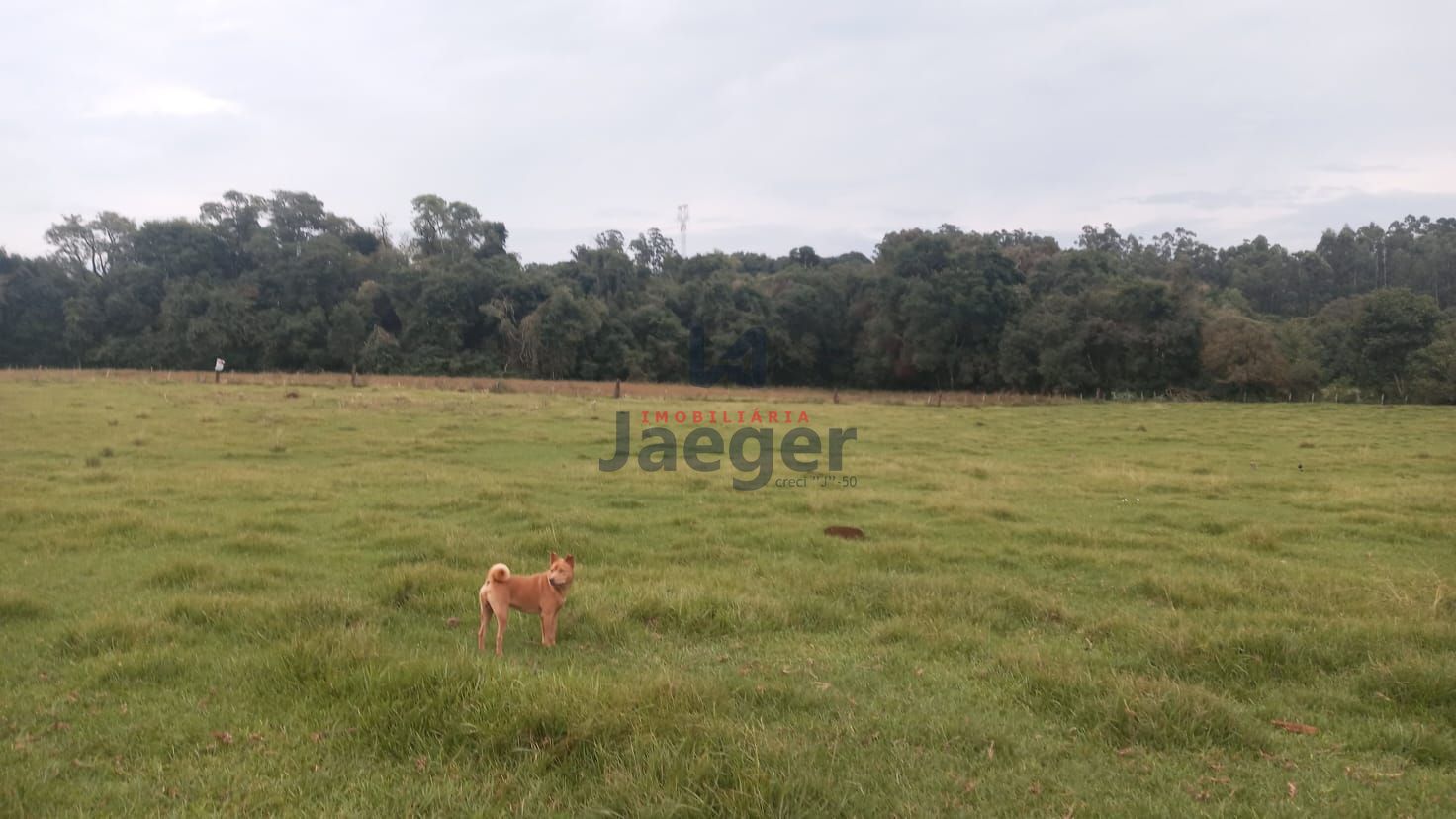 Fazenda à venda com 1 quarto, 200000000m² - Foto 1