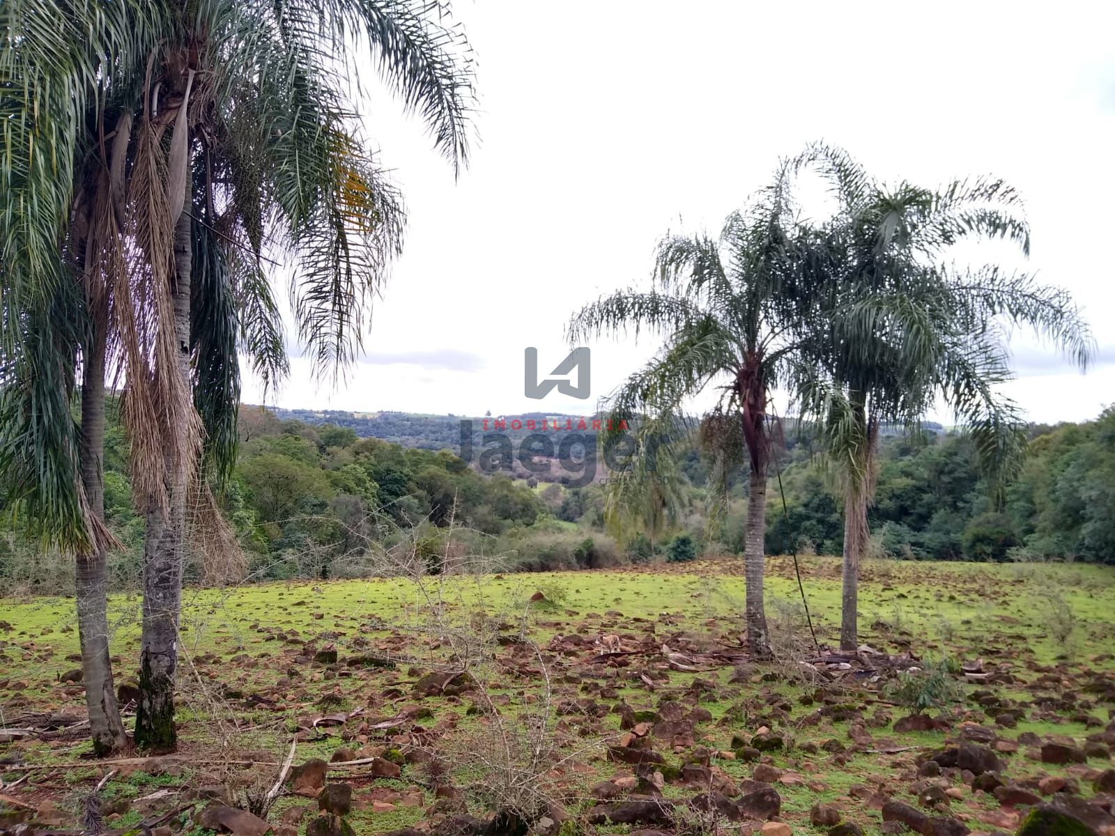 Fazenda à venda com 2 quartos, 150000m² - Foto 32