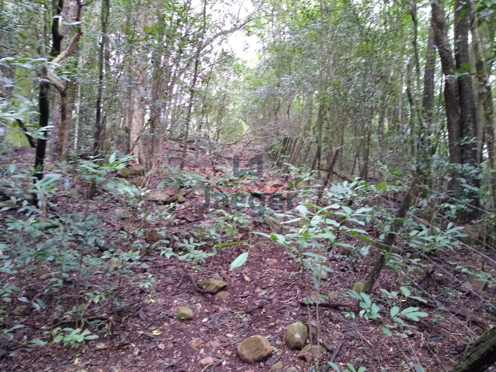 Fazenda à venda com 2 quartos, 150000m² - Foto 11