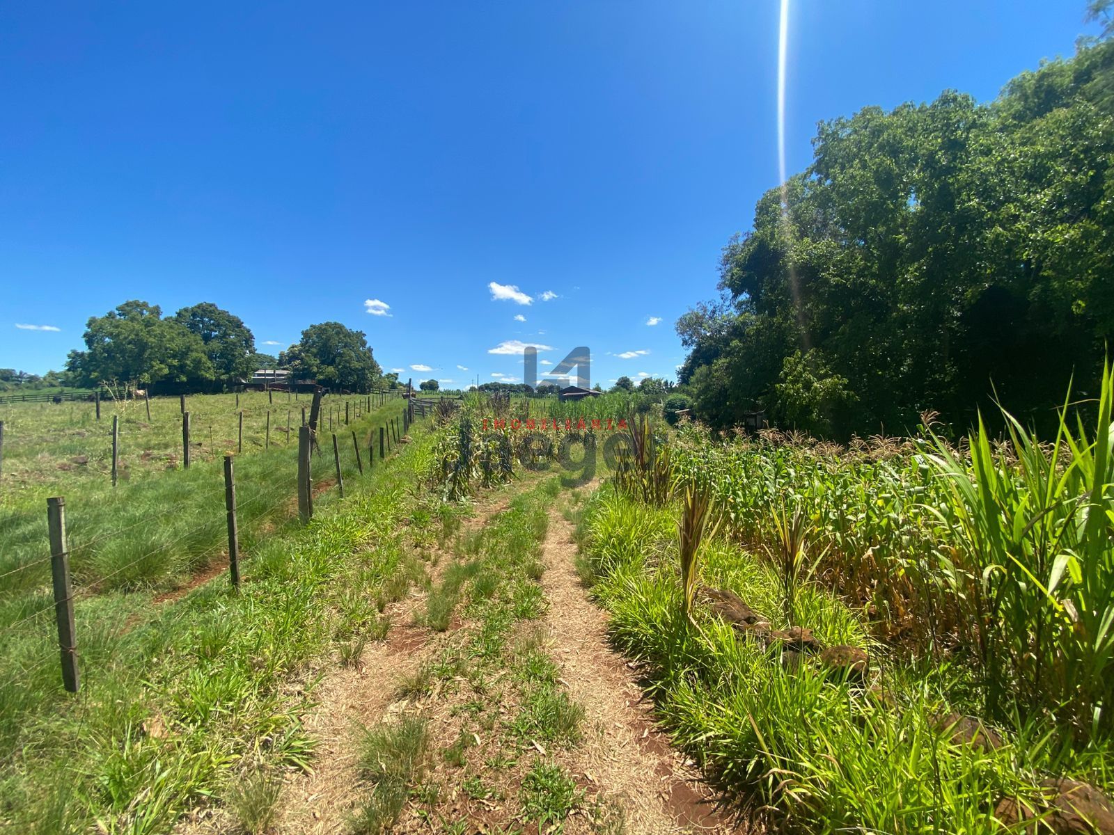 Chácara, 4 hectares - Foto 12