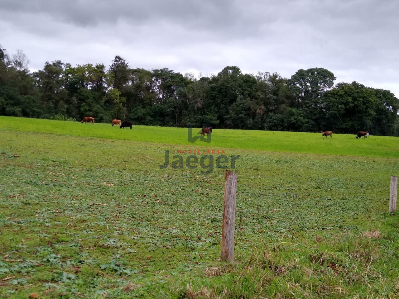 Fazenda à venda com 2 quartos, 150000m² - Foto 27