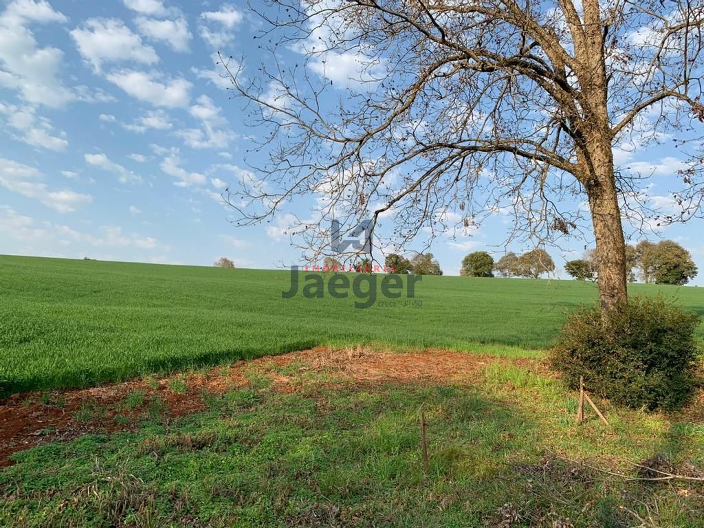 Fazenda à venda com 3 quartos, 140m² - Foto 41