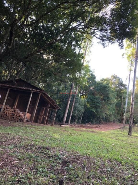 Sítio, 2000 m² - Foto 23