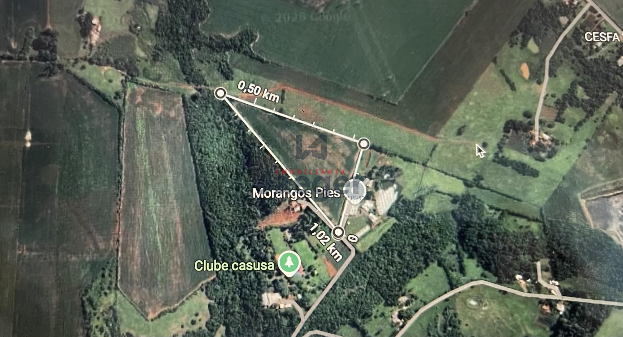 Sítio, 4 hectares - Foto 2