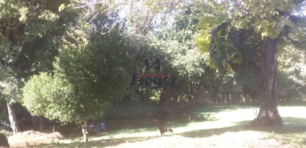 Chácara à venda com 2 quartos, 18000m² - Foto 13
