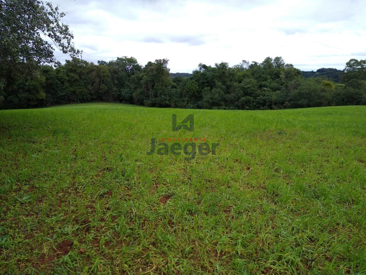 Fazenda à venda com 2 quartos, 150000m² - Foto 23