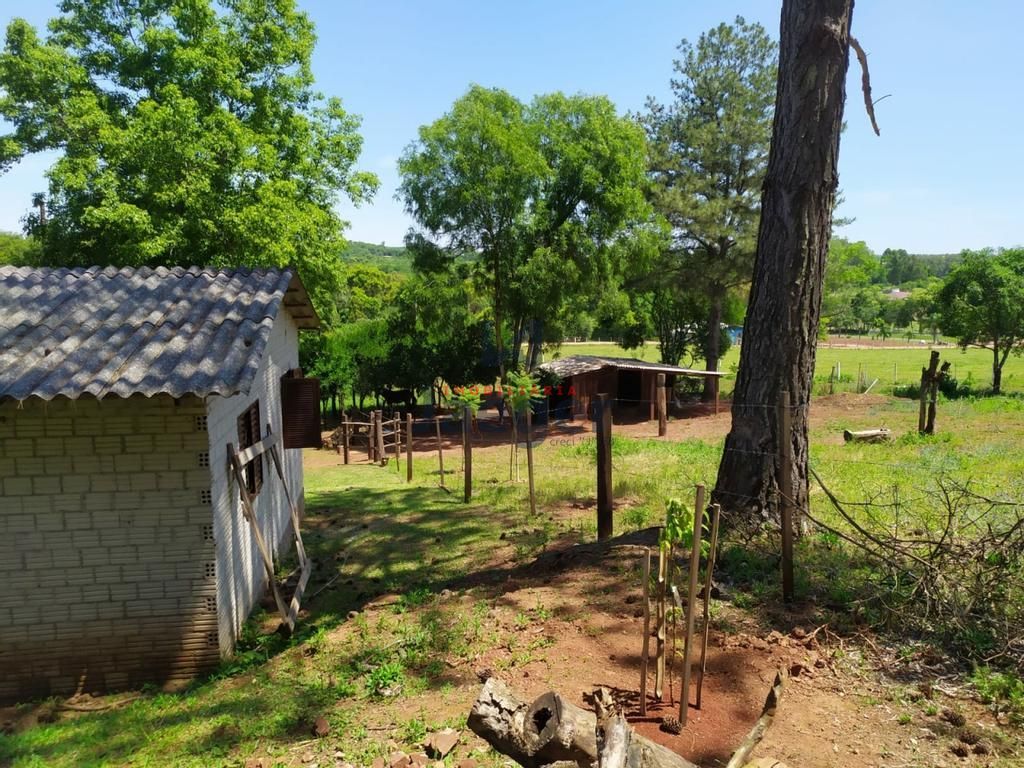 Fazenda à venda com 2 quartos, 125000000m² - Foto 21