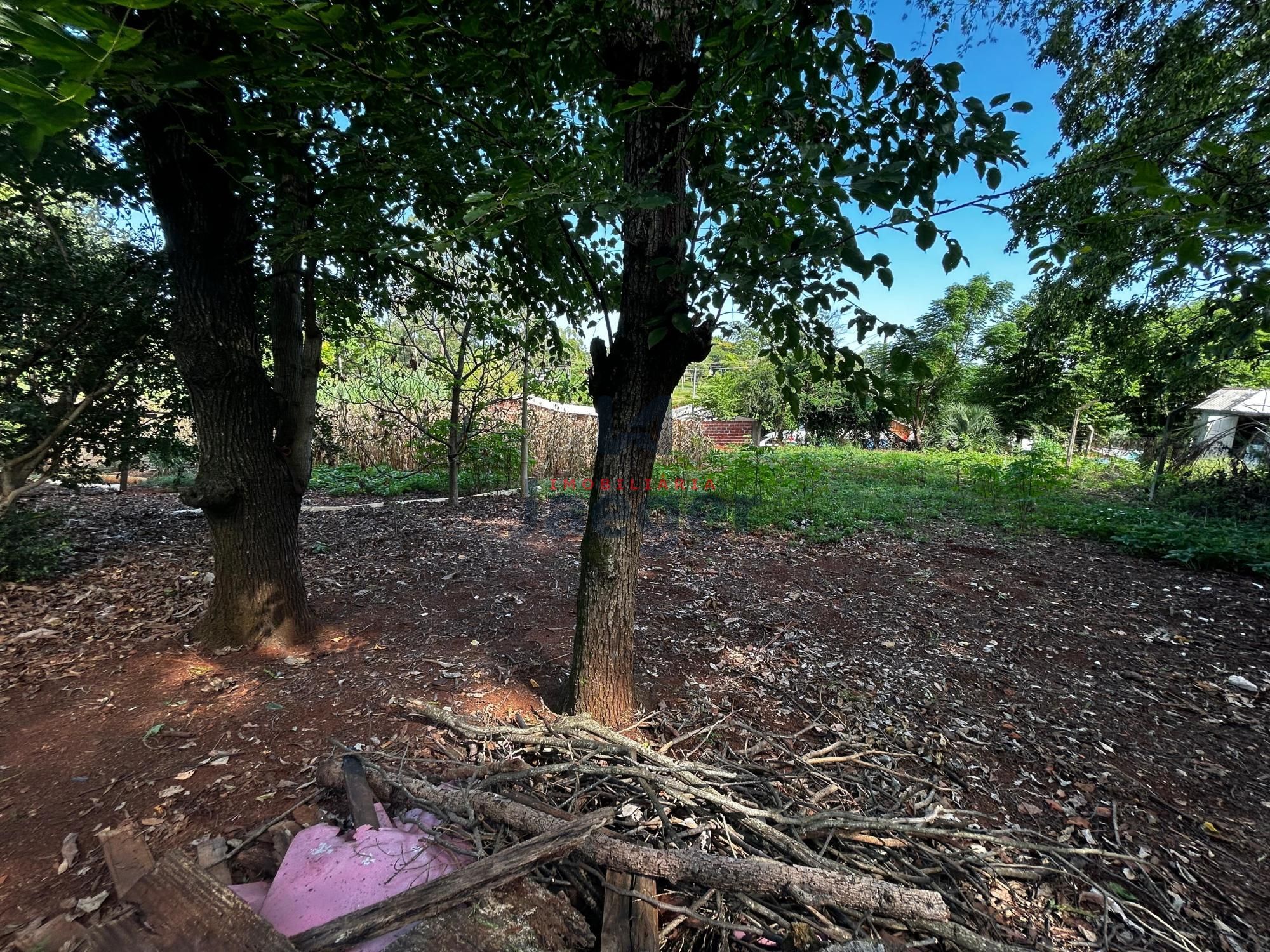 Terreno, 3000 m² - Foto 3