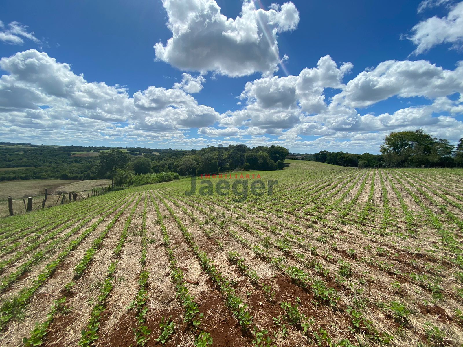 Loteamento e Condomínio à venda, 210000m² - Foto 2