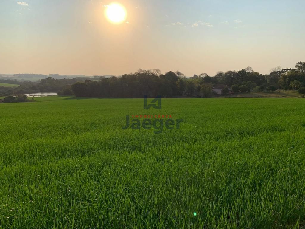 Fazenda à venda com 3 quartos, 140m² - Foto 1