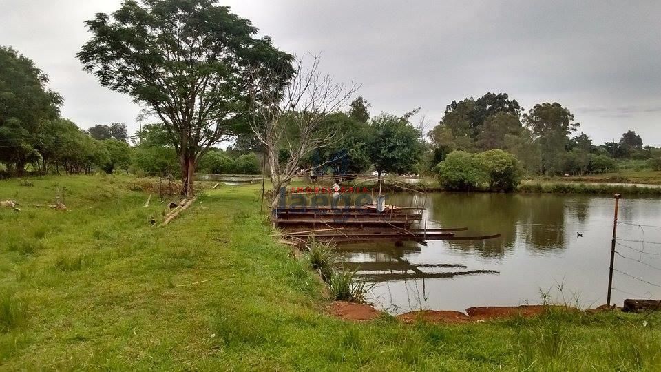 Chácara à venda com 3 quartos, 10200000m² - Foto 5
