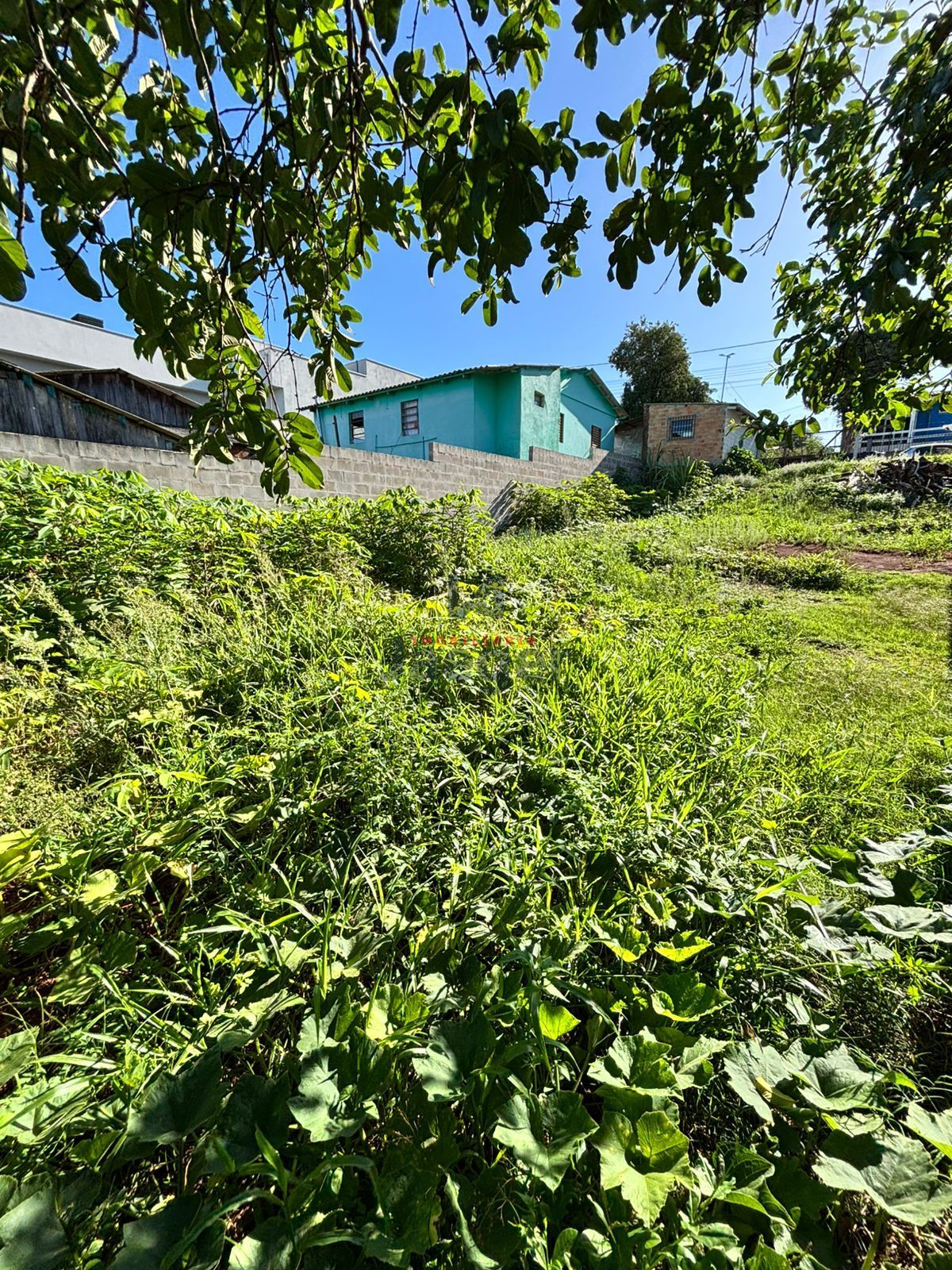 Terreno, 432 m² - Foto 6