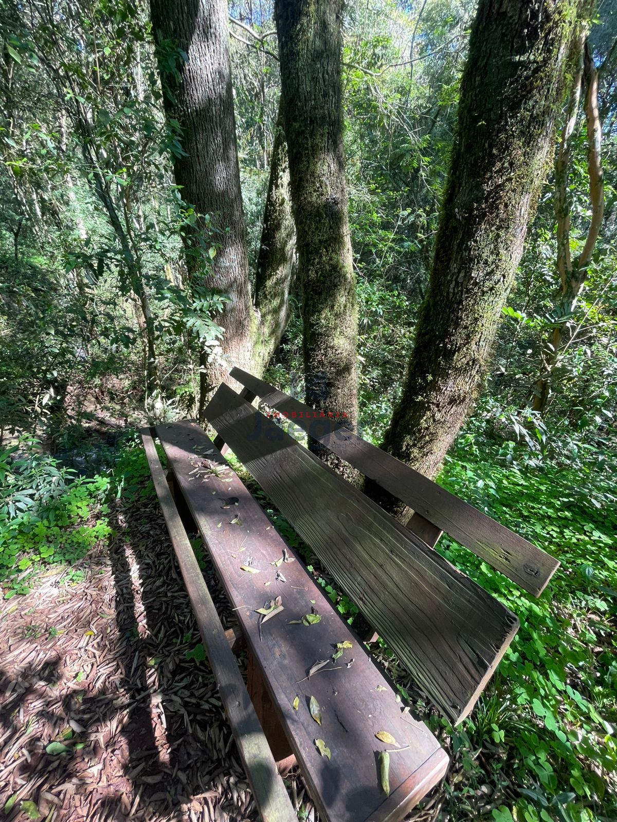 Terreno, 1063 m² - Foto 2