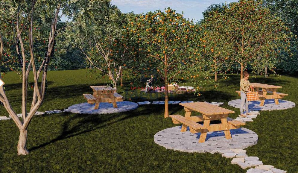 Terreno, 360 m² - Foto 4