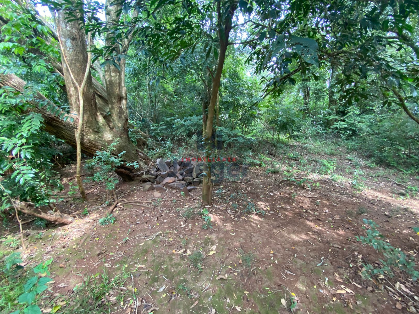 Chácara, 3 hectares - Foto 32