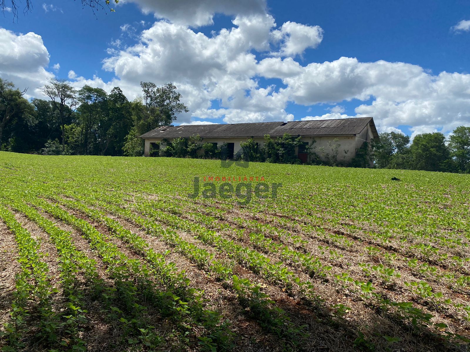 Loteamento e Condomínio à venda, 210000m² - Foto 8