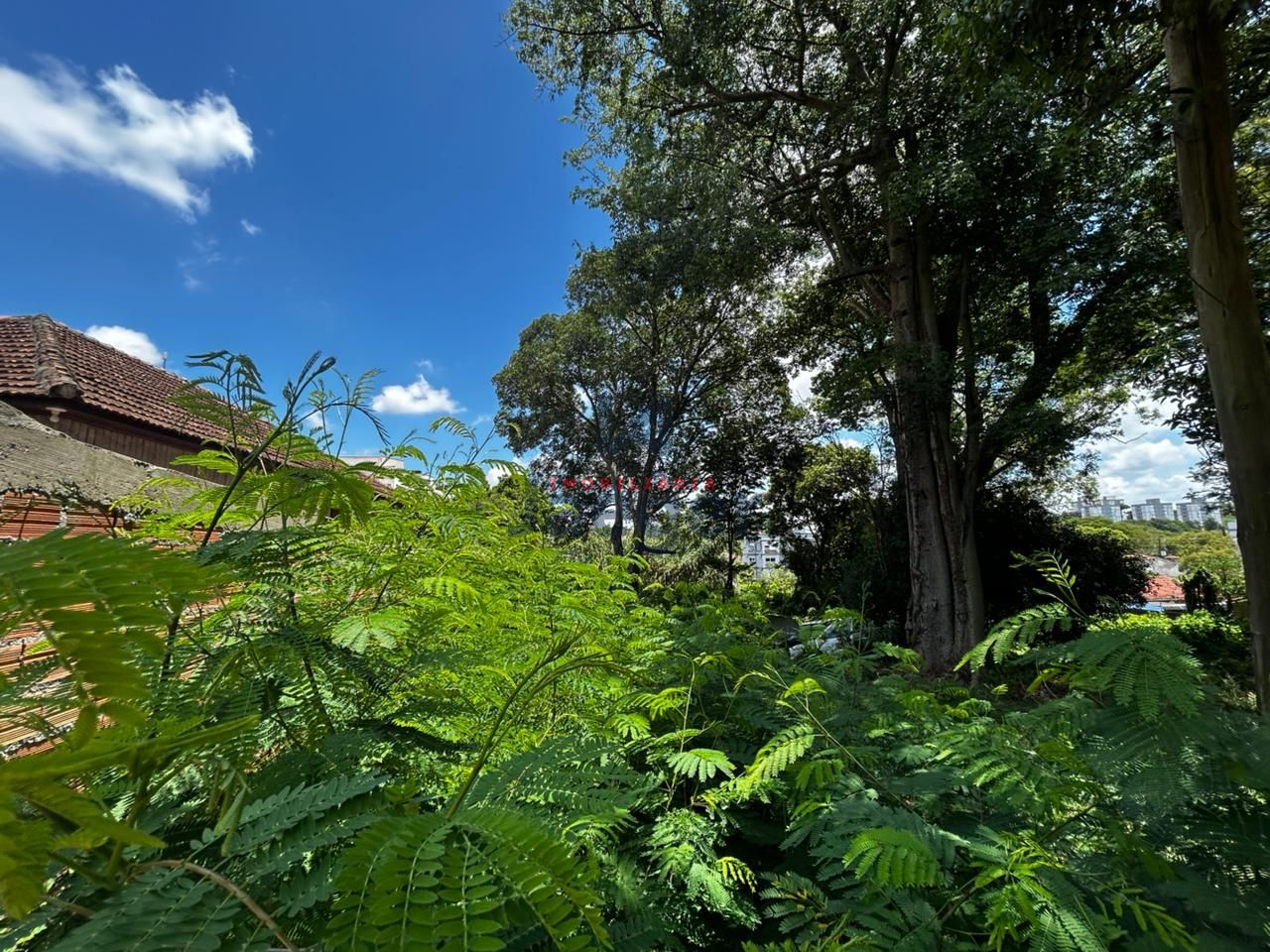 Terreno, 500 m² - Foto 2