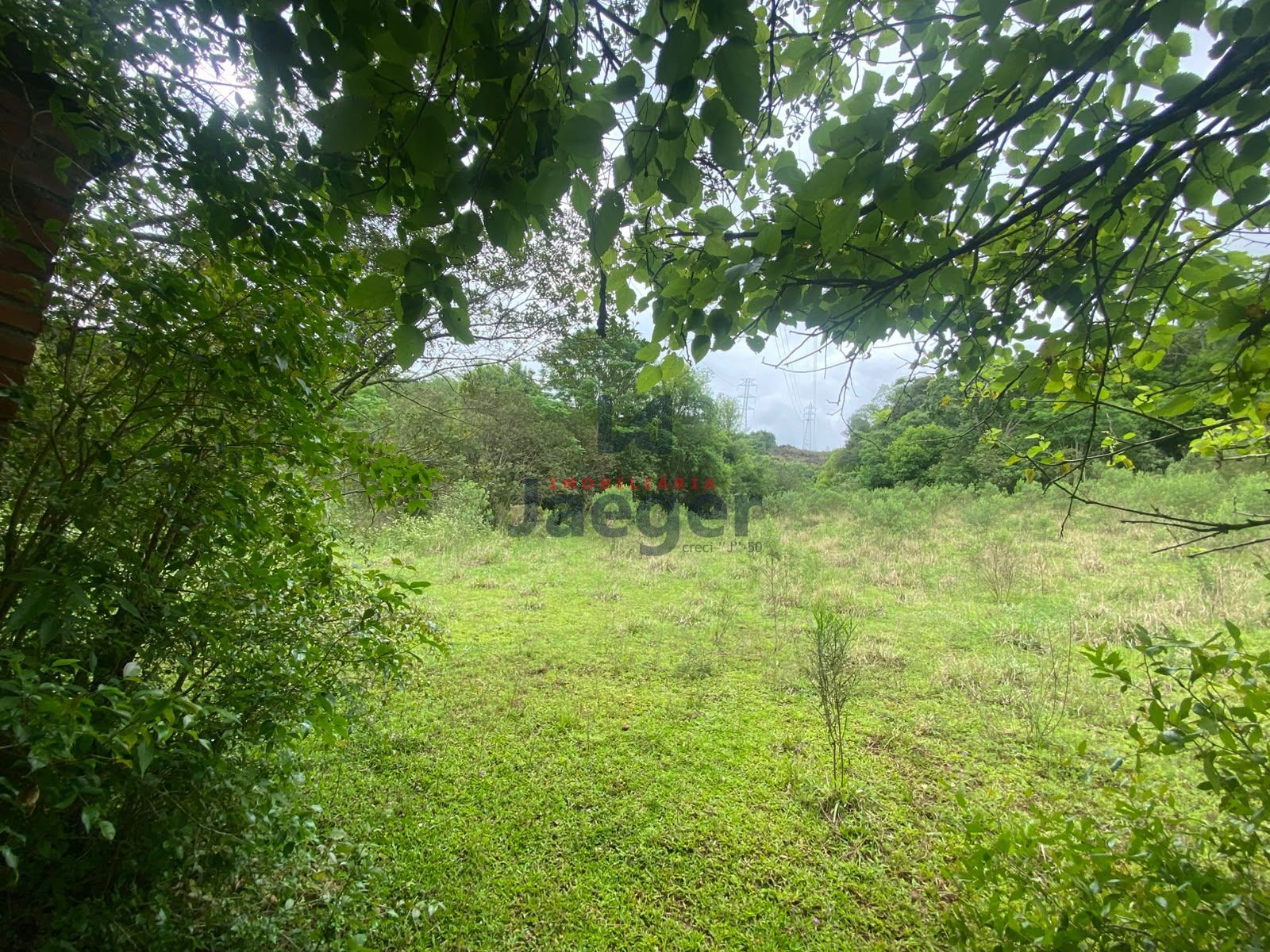 Terreno, 2 hectares - Foto 2