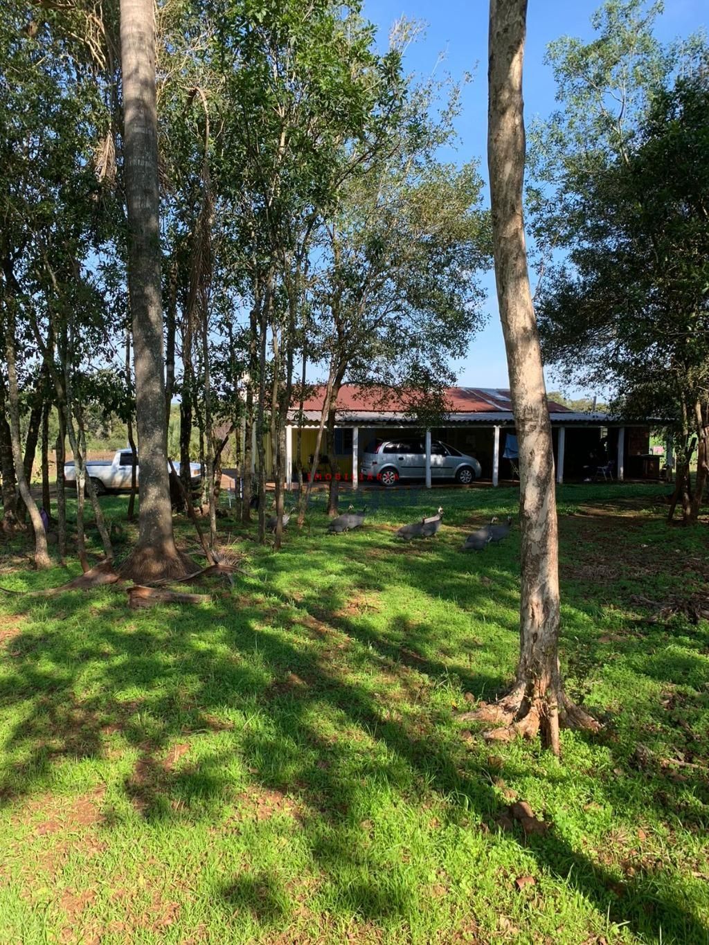 Fazenda à venda com 2 quartos, 89999m² - Foto 25